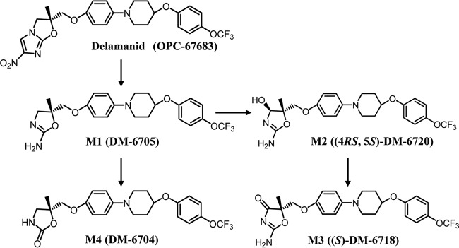 FIG 1