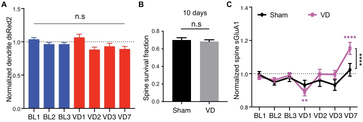 Figure 3—figure supplement 1.