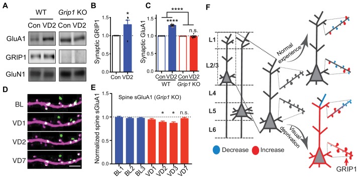 Figure 7.