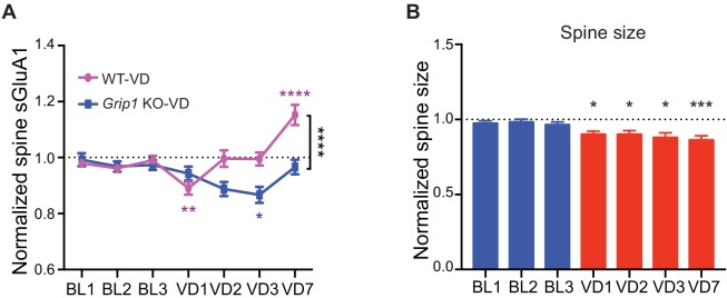 Figure 7—figure supplement 1.