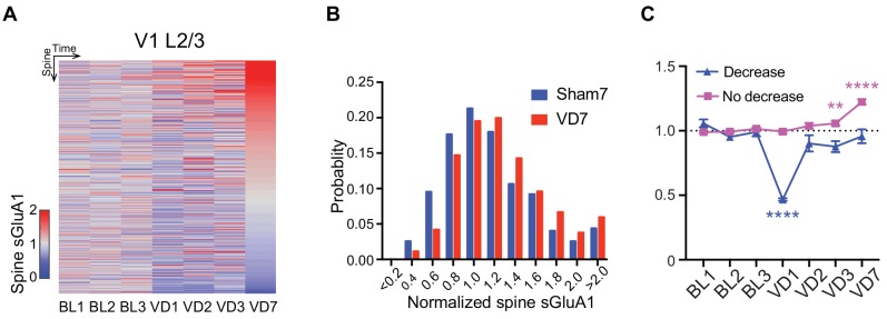 Figure 4—figure supplement 1.