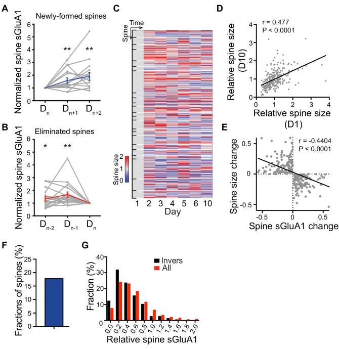 Figure 2—figure supplement 1.