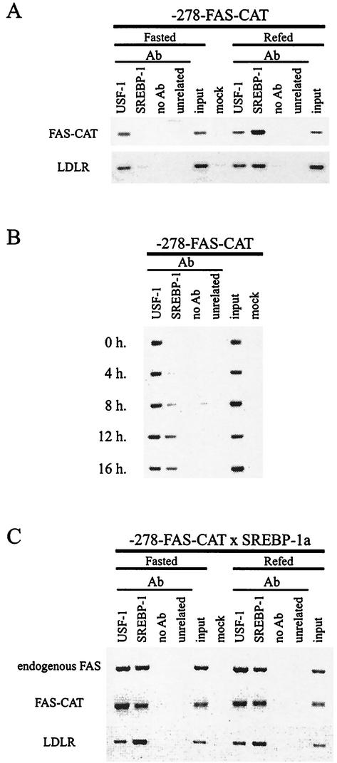 FIG. 5.