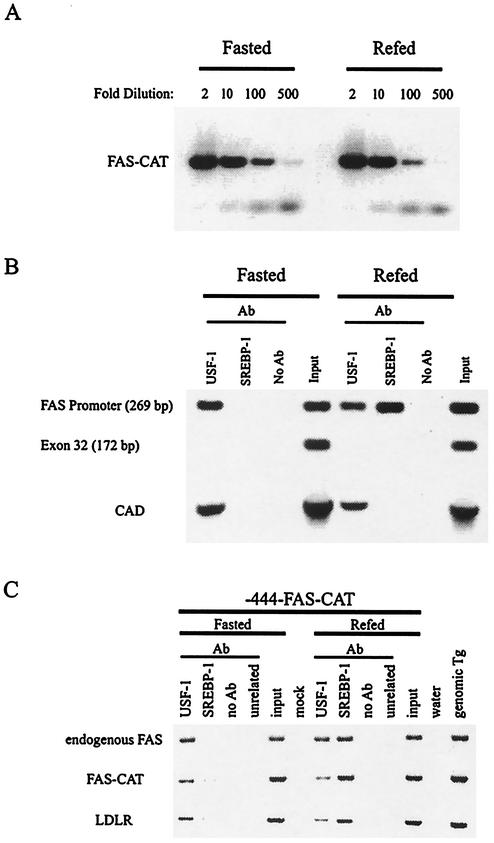 FIG. 1.