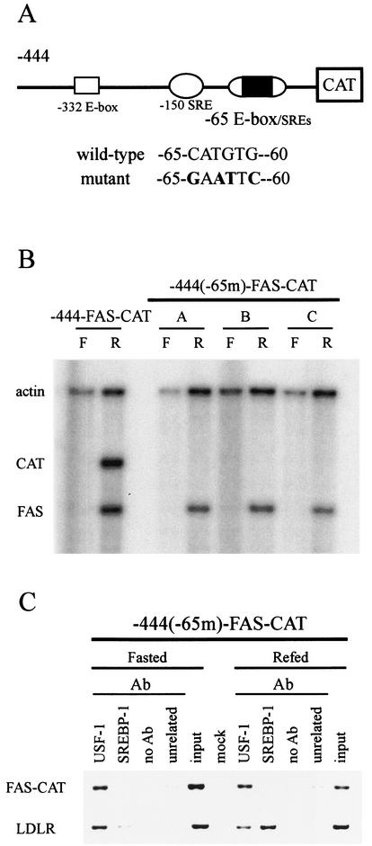 FIG. 7.