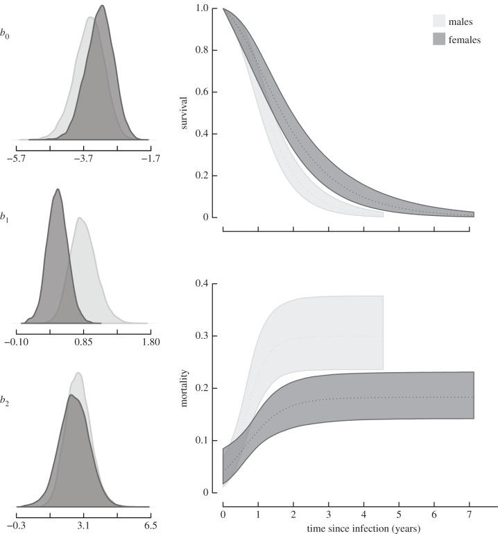 Figure 3.