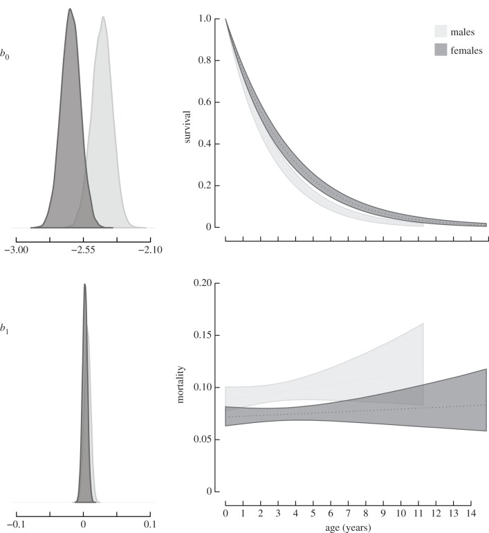 Figure 2.