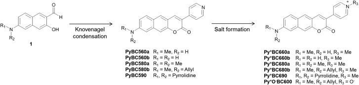 Scheme 1