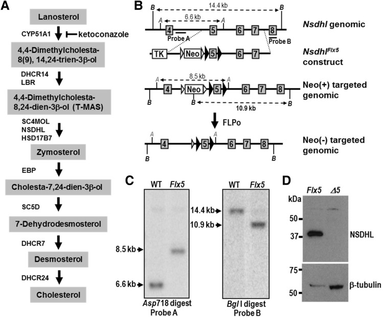 Figure 1.