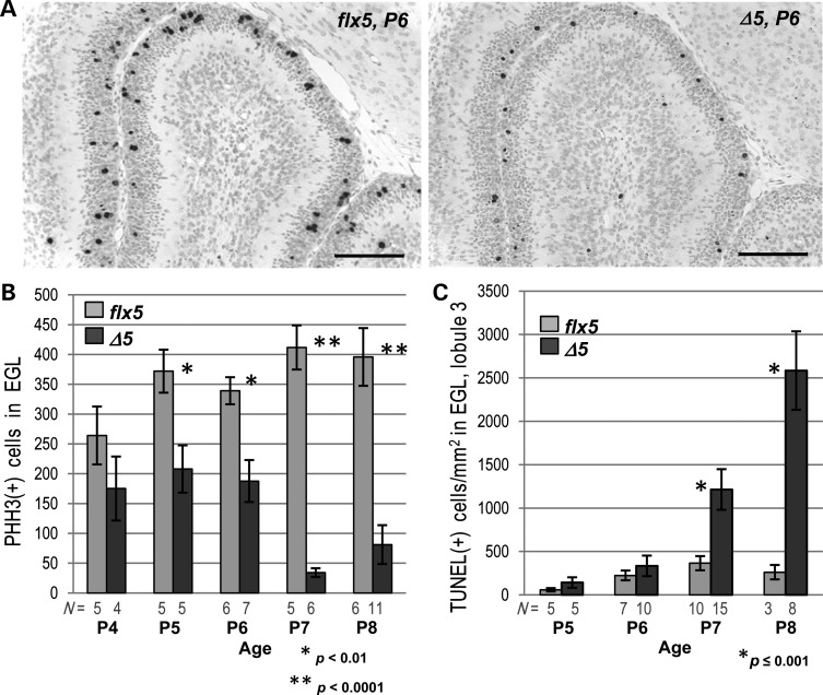 Figure 3.