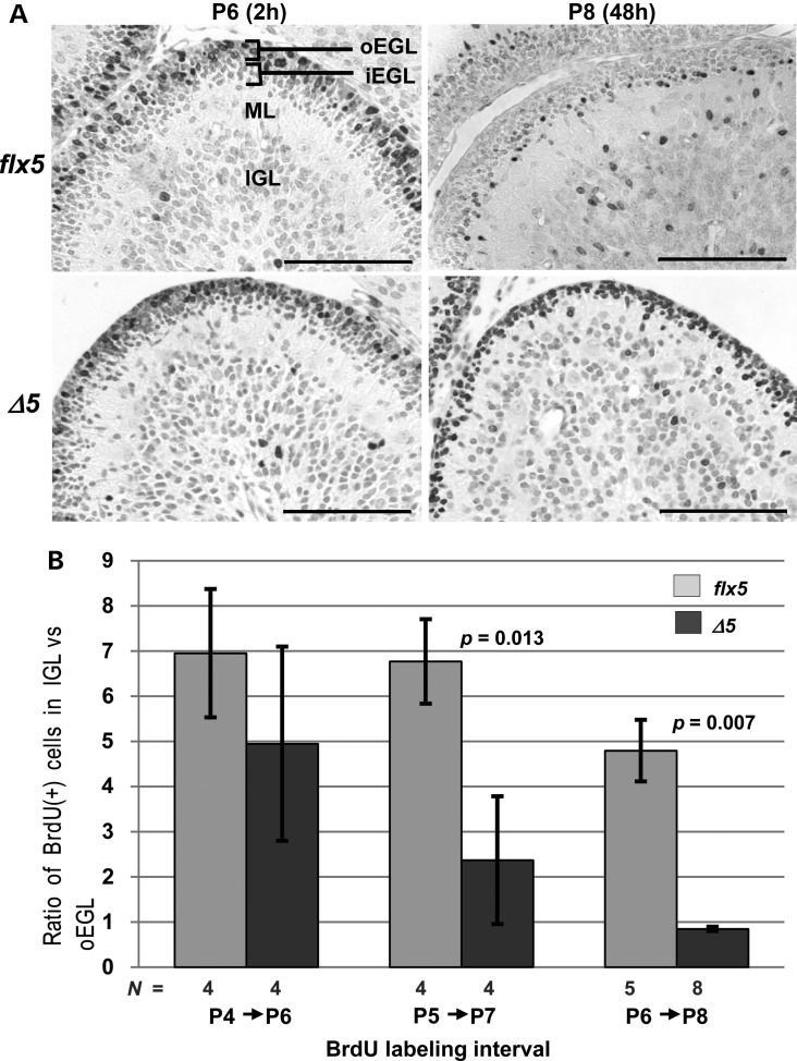 Figure 4.