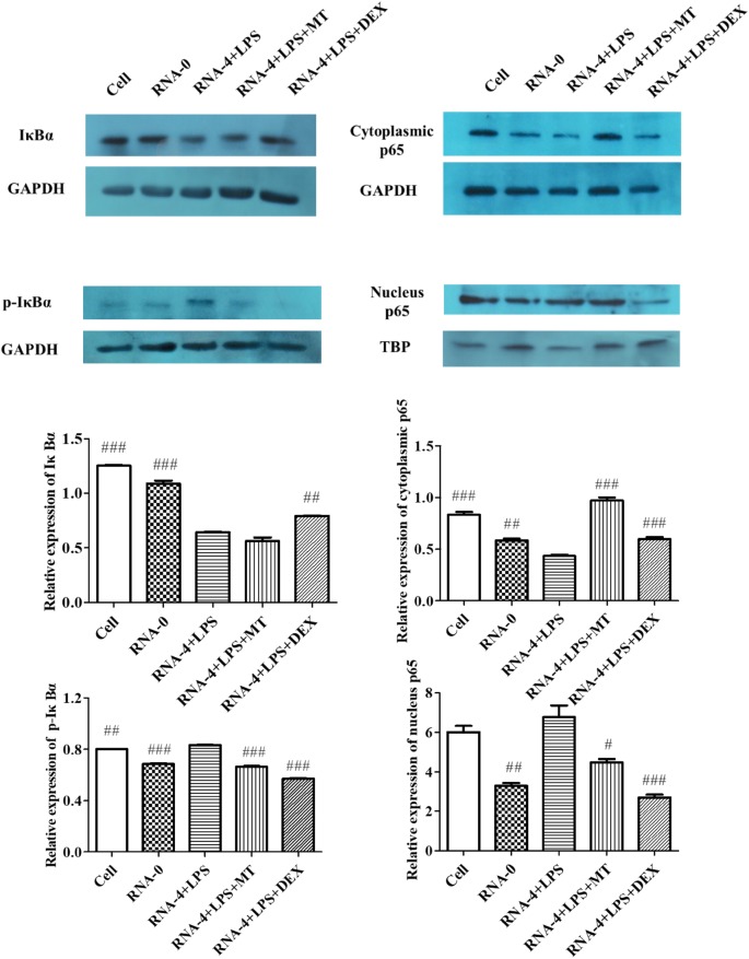 Figure 3