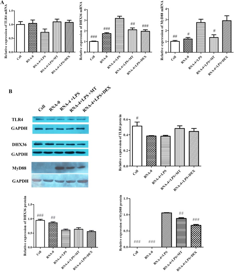 Figure 4