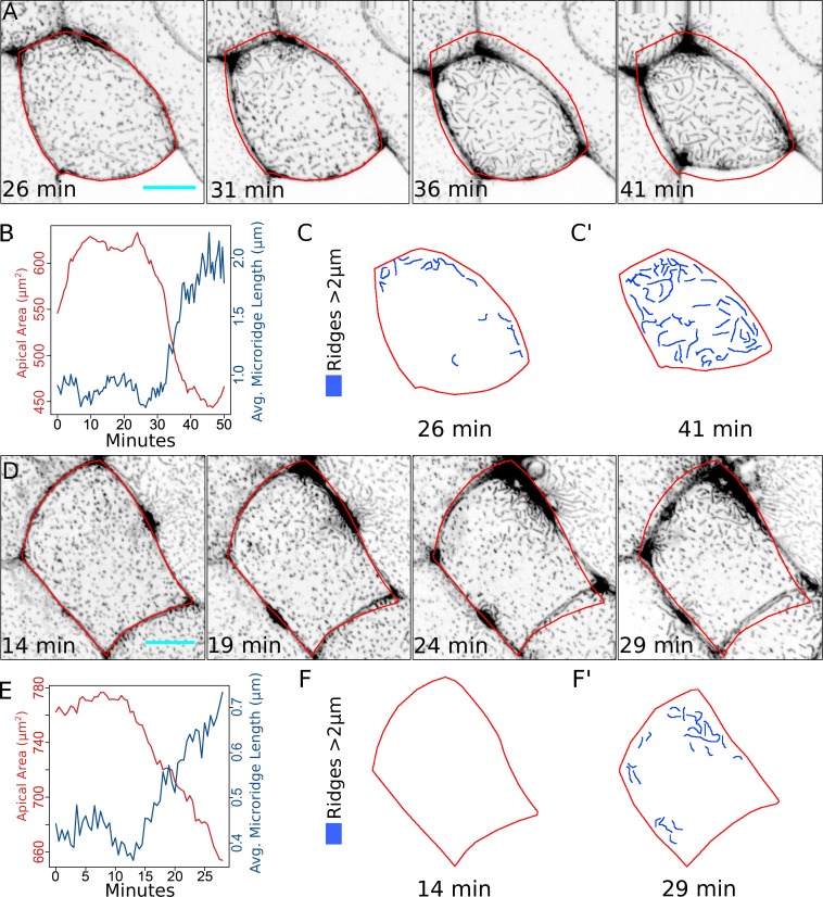 Figure 6.