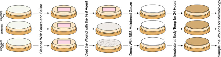 IWJ-12619-FIG-0003-c