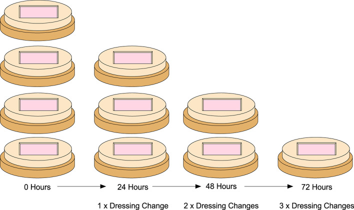 IWJ-12619-FIG-0004-c