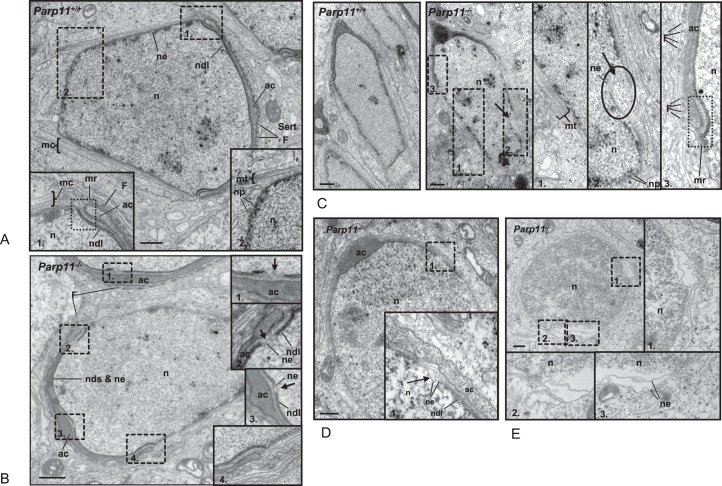 FIG. 7