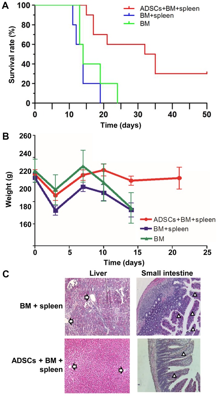 Figure 3.