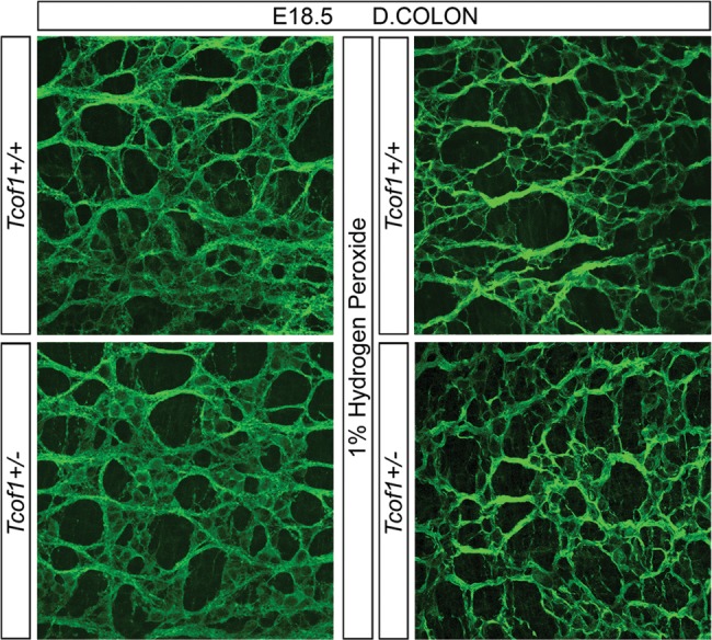 Figure 3.