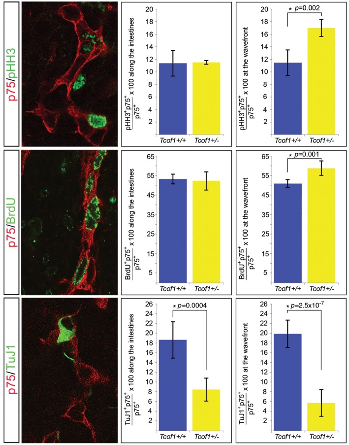 Figure 4.