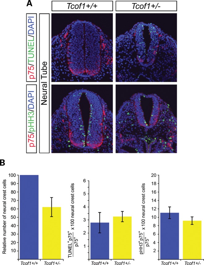 Figure 2.