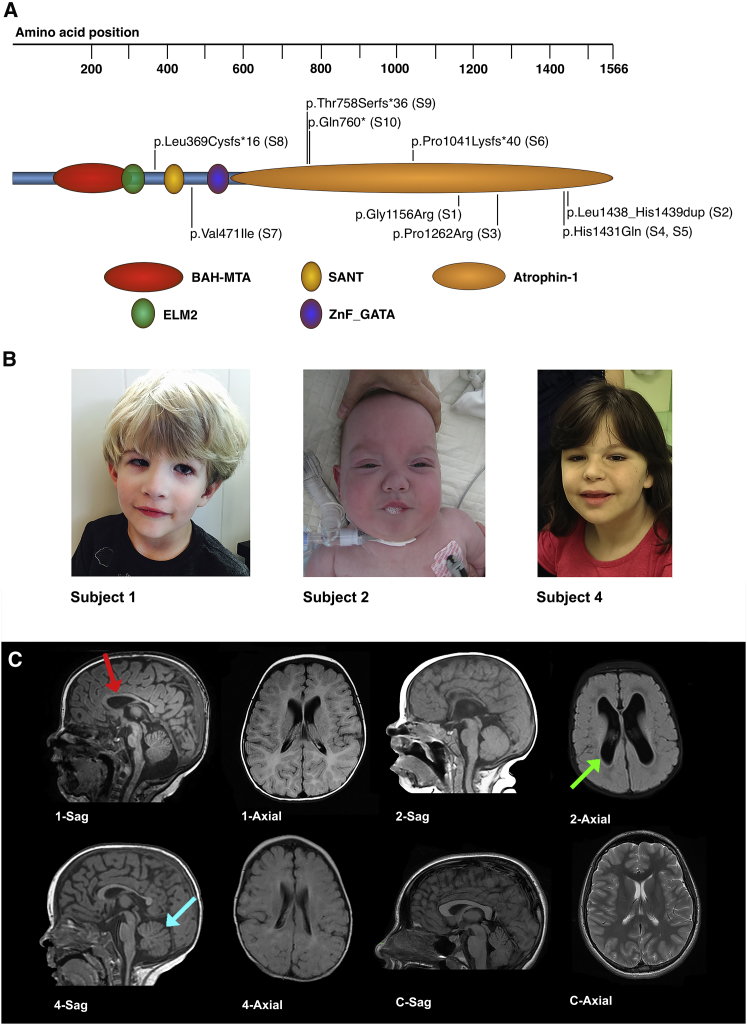 Figure 1