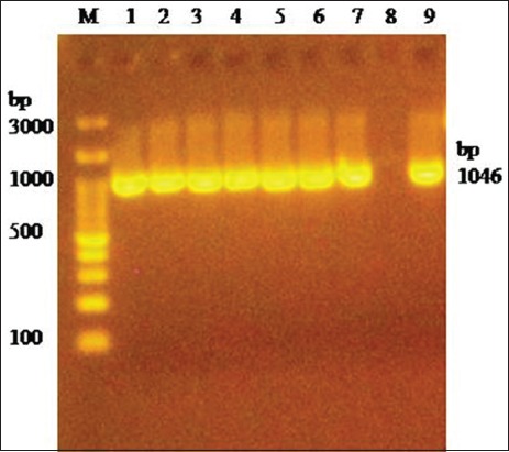 Figure-4