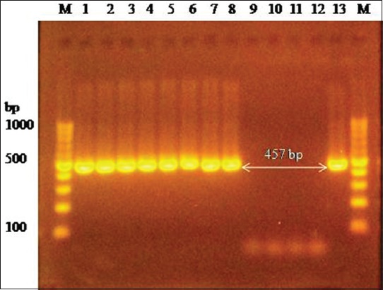 Figure-3