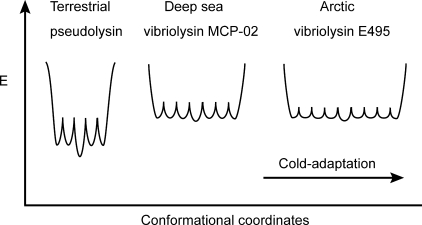 FIGURE 9.