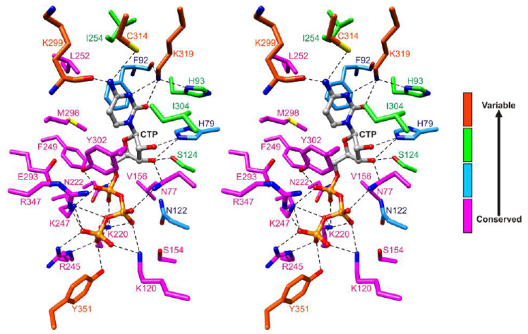 Figure 4.