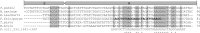 Figure 5—figure supplement 1.