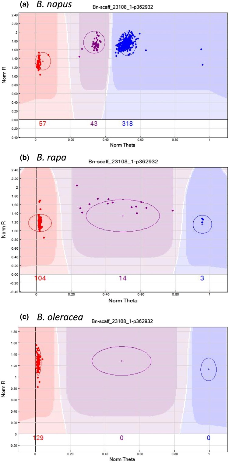 Fig. 2