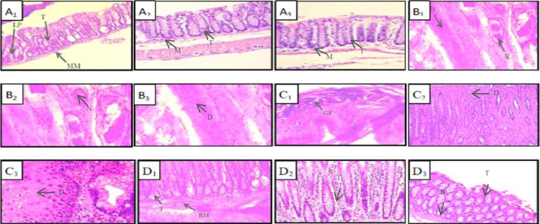 Figure 10