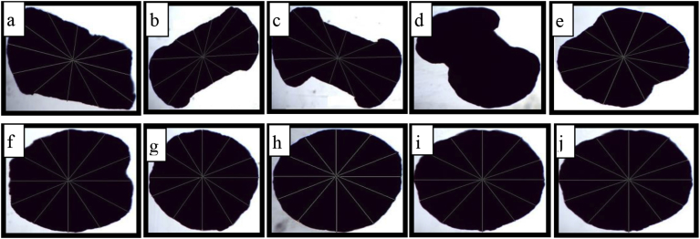 Figure 3