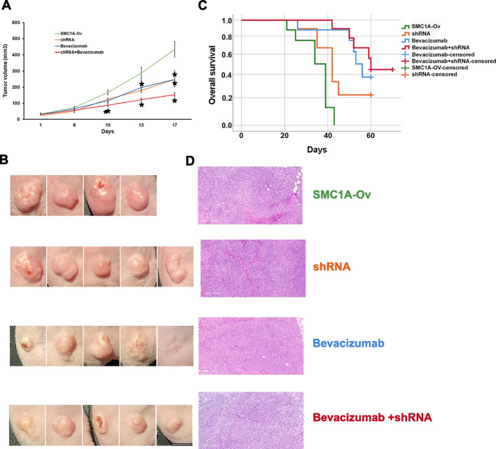 Fig. 2