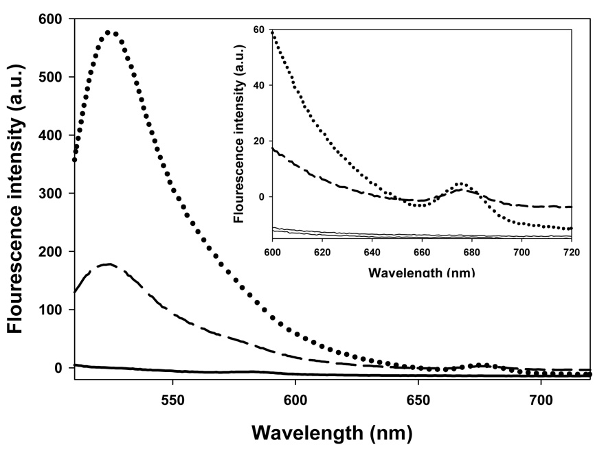 Fig. 5