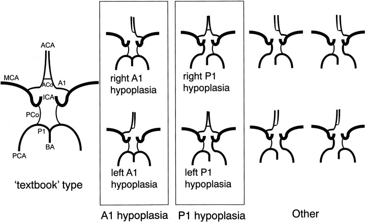 Fig 2.