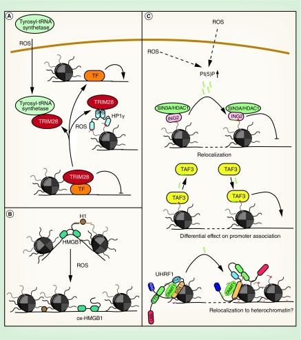 Figure 4. 