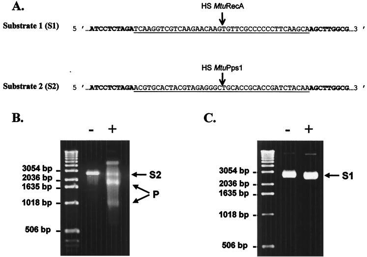 FIG. 5.