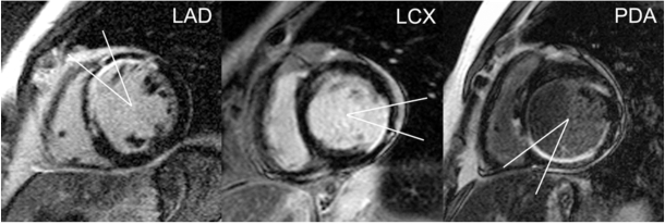 Fig. (1).