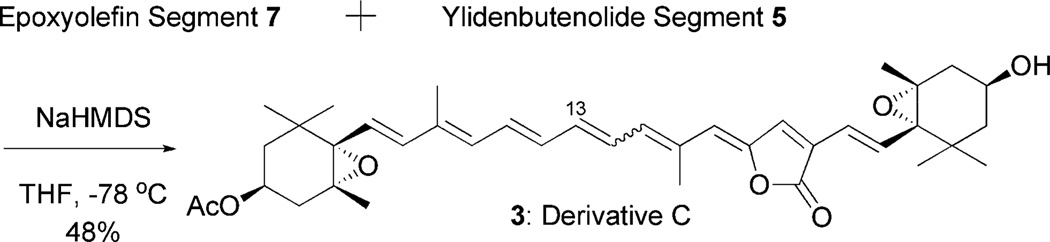 Scheme 5