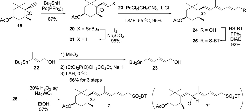 Scheme 4