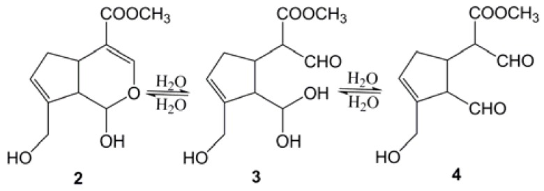 Scheme 2