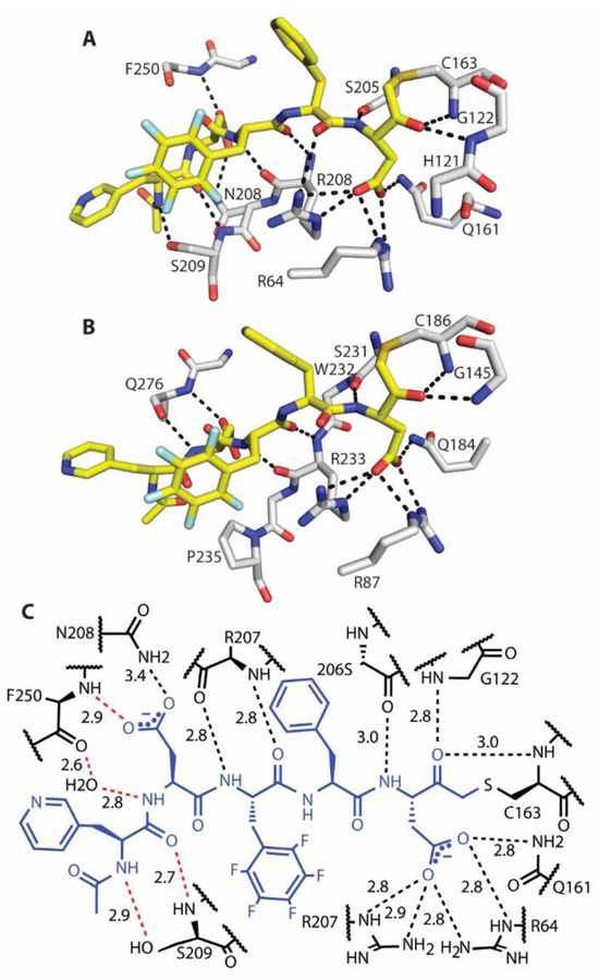 Figure 2.