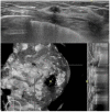 Fig 2.