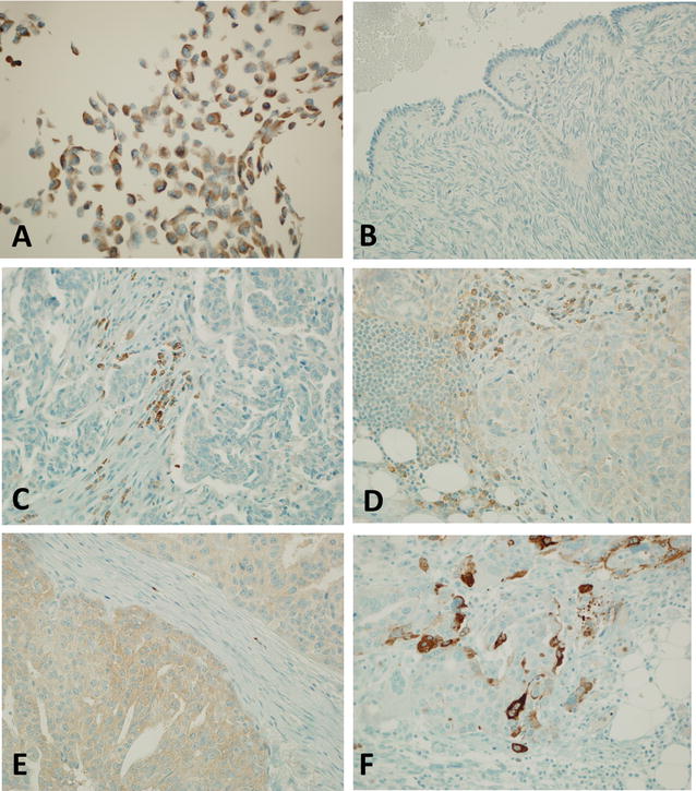 Fig. 3