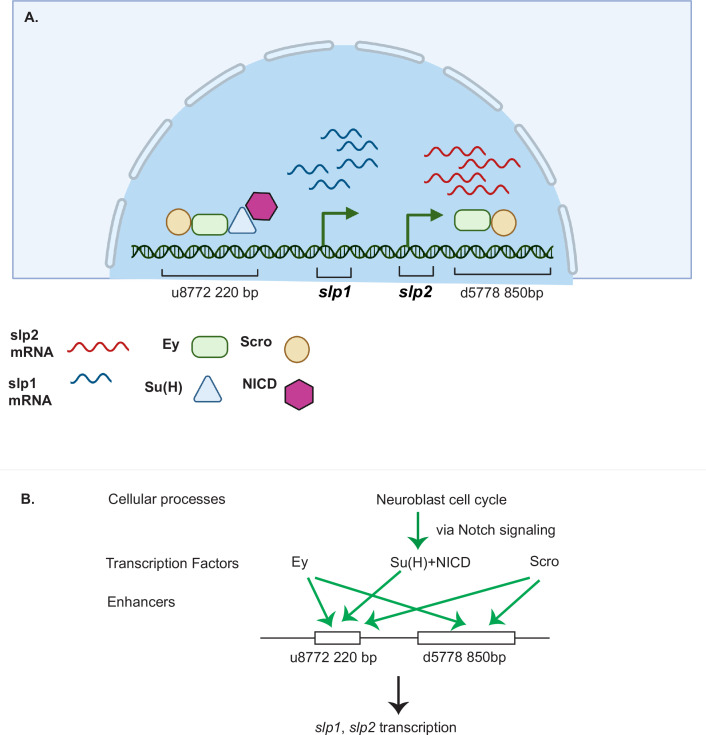 Figure 12.