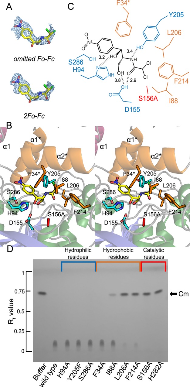 Fig 4