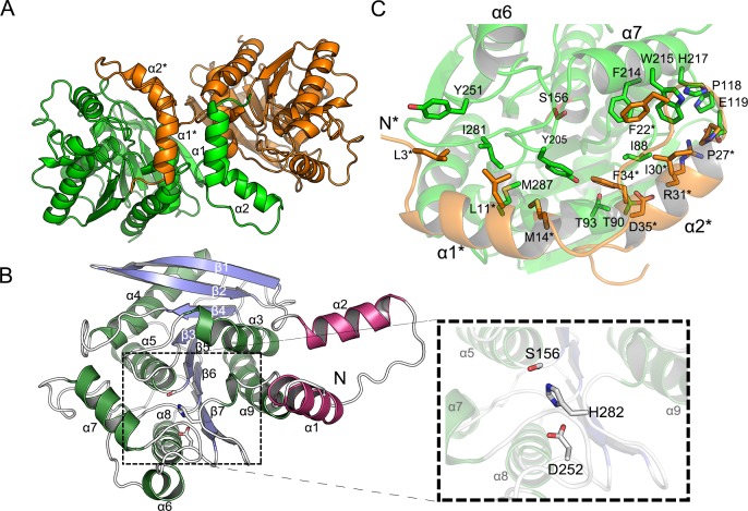 Fig 2