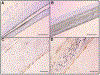 Figure 8: